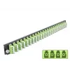 Μπροστινό πάνελ splice box DeLOCK 19 ιντσών 24-Port LC Quad ανοιχτό πράσινο