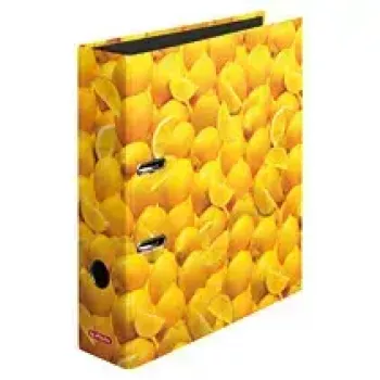 Ντοσιέ με κρίκους Herlitz 10546901 A4 πολύχρωμο