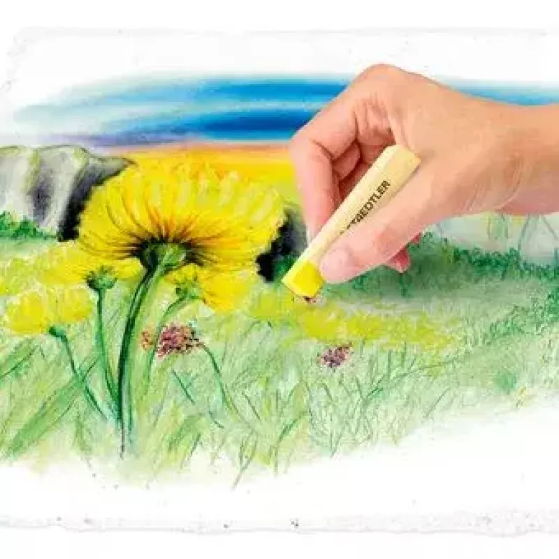 Ξηρή παστέλ κιμωλία μαλακή Staedtler 2430 πολύχρωμη 24 τεμ.