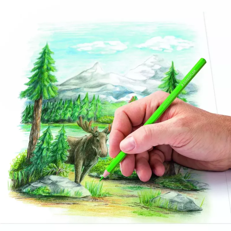 Ξυλομπογιές Staedtler 146C Πολύχρωμες 24 τεμ.