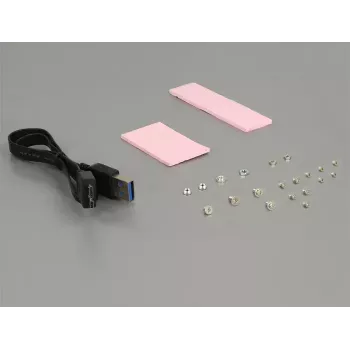 Εσωτερικός προσαρμογέας USB 3.2 Gen 1 DeLOCK 62731