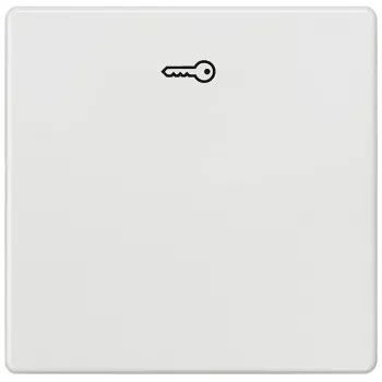 Siemens 5TG6208 ένθετο τοίχου/κάλυμμα διακόπτη πολύχρωμο