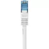 Καλώδιο δικτύου Renkforce RF-3829272 20m Cat6a S/FTP