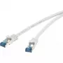 Καλώδιο δικτύου Renkforce Cat6a S/FTP 1381766, 20 m, γκρι