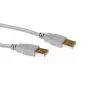 USB 2.0 βύσμα A - βύσμα USB A εκρού 2,00 m ACT SB2502