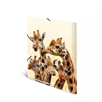 Κλασικός φάκελος εγγράφων HERMA Giraffe Friends πολυπροπυλενίου (PP) πολύχρωμος A4