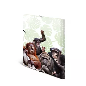 Κλασικός φάκελος αρχειοθέτησης HERMA Monkey Gang πολυπροπυλενίου A3