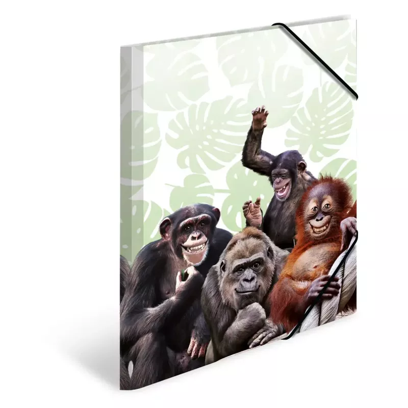 Κλασικός φάκελος αρχειοθέτησης HERMA Monkey Gang πολυπροπυλενίου A3