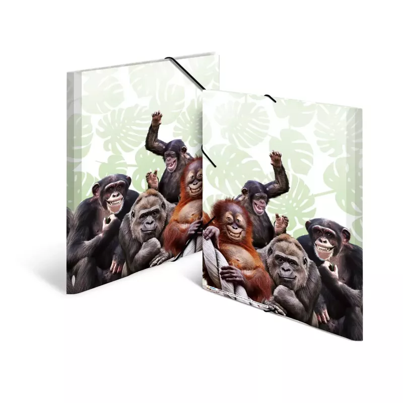 Κλασικός φάκελος αρχειοθέτησης HERMA Monkey Gang πολυπροπυλενίου A3