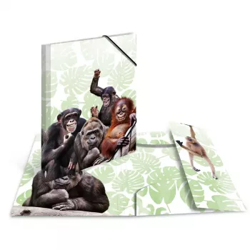 Κλασικός φάκελος αρχειοθέτησης HERMA Monkey Gang πολυπροπυλενίου A3
