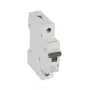 Legrand RX3 διακόπτης προστασίας γραμμής, διακόπτης προστασίας γραμμής, τύπου B, 1