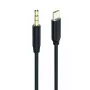 Καλώδιο ήχου 2GO 797219 1m 3,5mm USB Type-C μαύρο