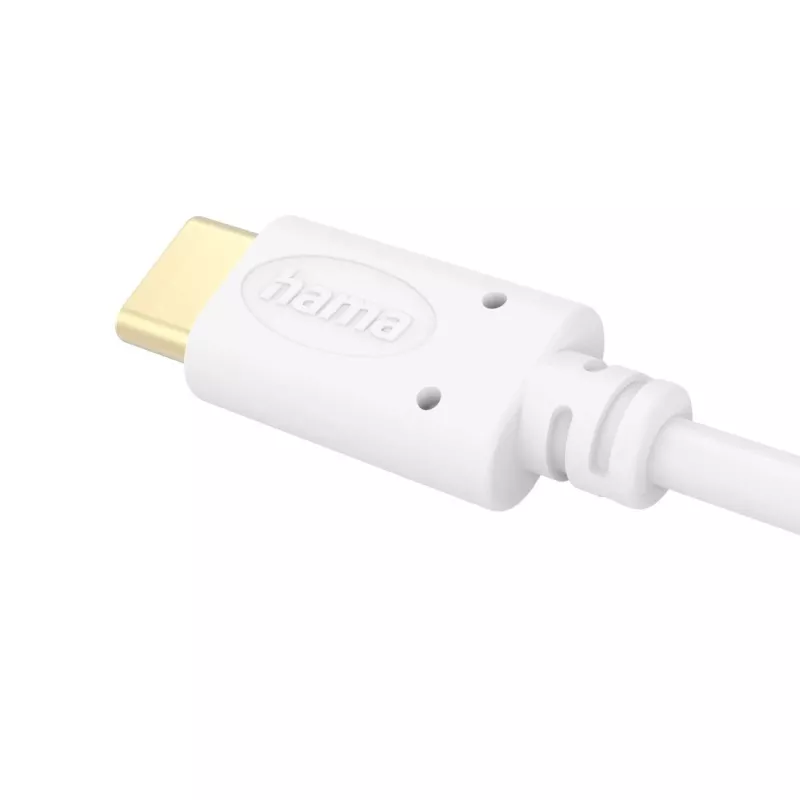 Hama 00201704 Καλώδιο USB USB 2.0 1,5 m USB-C Λευκό