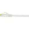 Καλώδιο δικτύου Renkforce RF-4149858 0,25 m Cat6a S/FTP γκρι