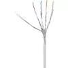Καλώδιο δικτύου Renkforce RF-4149858 0,25 m Cat6a S/FTP γκρι