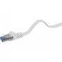 Renkforce 1383279 καλώδιο δικτύου RJ45 Cat6a U/FTP, 0,5 m, πολύ εύκαμπτο, ανθεκτικό στη φλόγα, γκρι