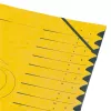 Herlitz easyorga Θήκη αρχειοθέτησης A4, 12 θήκες, Κίτρινο