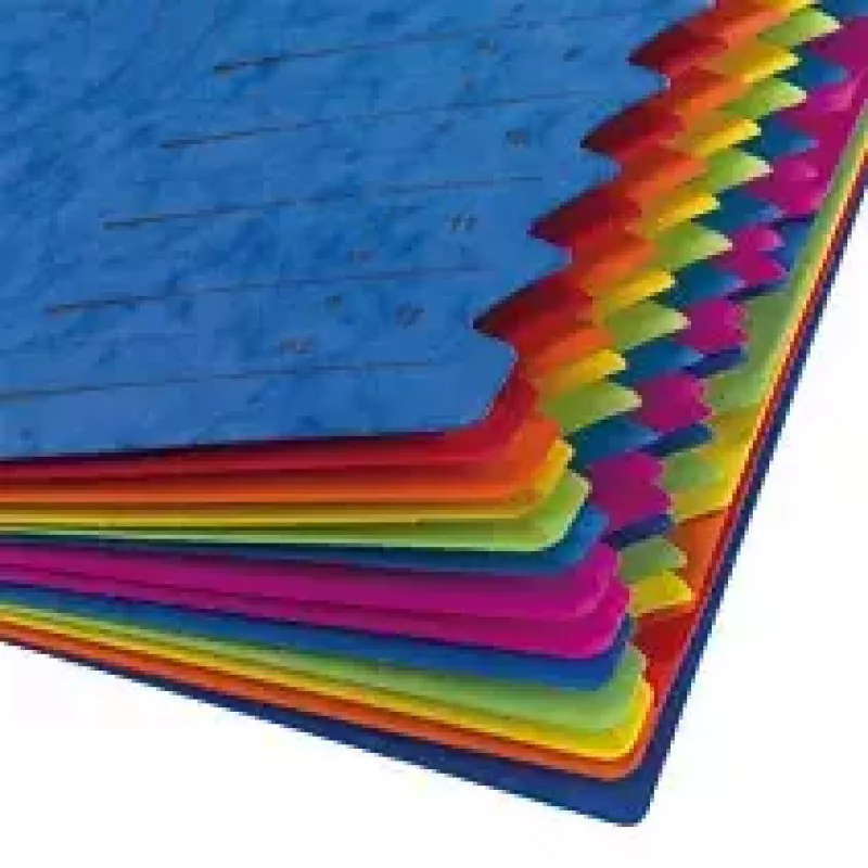 Herlitz 5001128 Οργανωτής A4, 12 θήκες, μπλε, 2 λαστιχάκια
