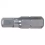 Bit κατσαβιδιού KS Tools 910.2259 Hex ανοξείδωτο ατσάλι 25mm