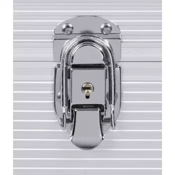 Hama 00181435 θήκη αποθήκευσης Microgroove θήκη δίσκων βινυλίου ασημί