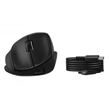 Ασύρματο εργονομικό ποντίκι με κλίση HP Tilt Ergonomic 725M, μαύρο