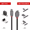 Lindy 1m Καλώδιο USB 3.2 τύπου C σε Micro-B, Anthra Line, 1 m, USB C, Micro-USB B, USB 3.2 Gen 1 (3.1 Gen 1), Μαύρο