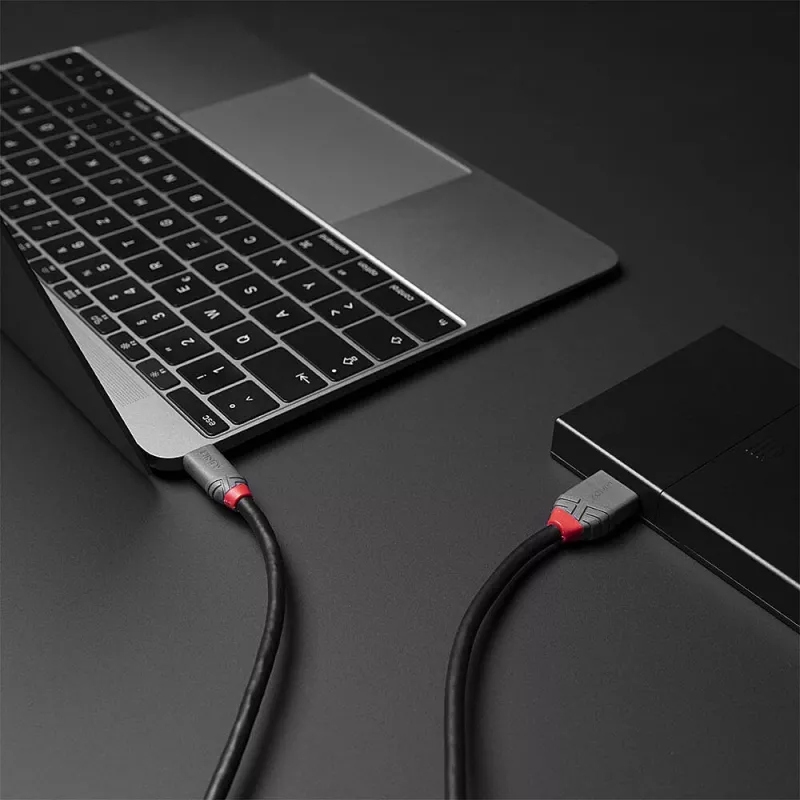 Lindy 2m Καλώδιο USB 3.2 Type C σε Micro-B, Anthra Line, 2 m, USB C, Micro-USB B, USB 3.2 Gen 1 (3.1 Gen 1), Μαύρο