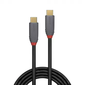 Lindy 36904 Καλώδιο USB USB 3.2 Gen 2 (3.1 Gen 2) 3 m USB C Μαύρο