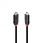 Lindy 2m USB4 240W καλώδιο Type-C, Black Line, 2 m, USB C, USB C, USB4 Gen 3x2, 40 Gbit/s, μαύρο