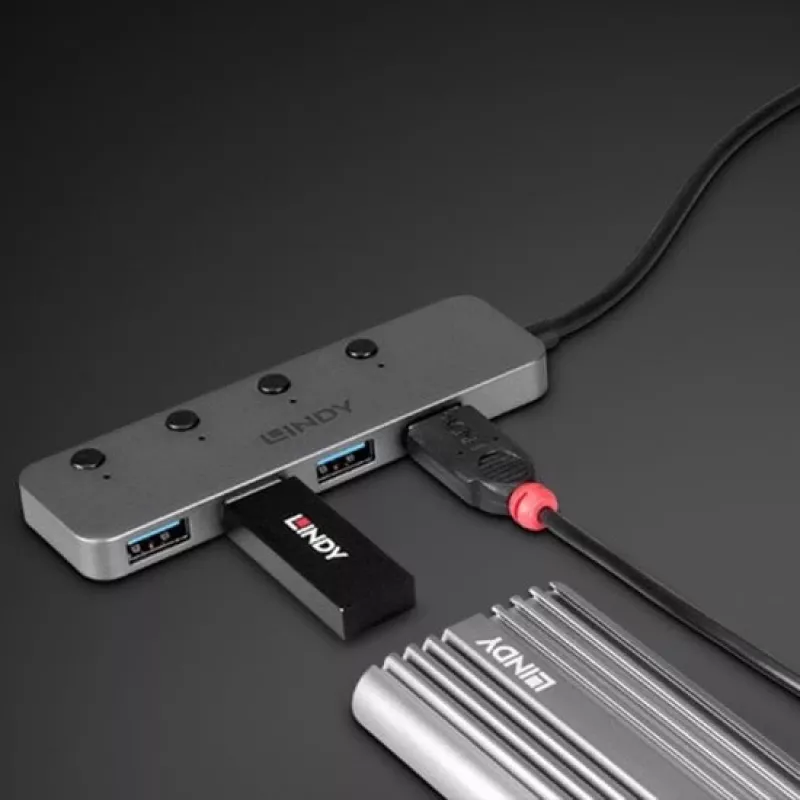 Lindy 4 Port USB 3.2 Type C hub με διακόπτες on/off
