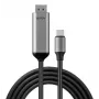 Lindy 43504 προσαρμογέας καλωδίου βίντεο 2 m USB Type-C DisplayPort γκρι