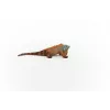 Schleich WILD LIFE Leguan πολύχρωμο 14854 συνιστώμενη ηλικία 3 έτη