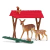 Σετ δασικών ζώων Schleich 42658S Πολύχρωμα αξεσουάρ ταΐσματος