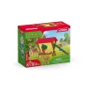 Σετ δασικών ζώων Schleich 42658S Πολύχρωμα αξεσουάρ ταΐσματος