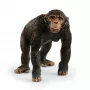 schleich WILD LIFE Χιμπαντζής, 3 έτη, πολύχρωμο