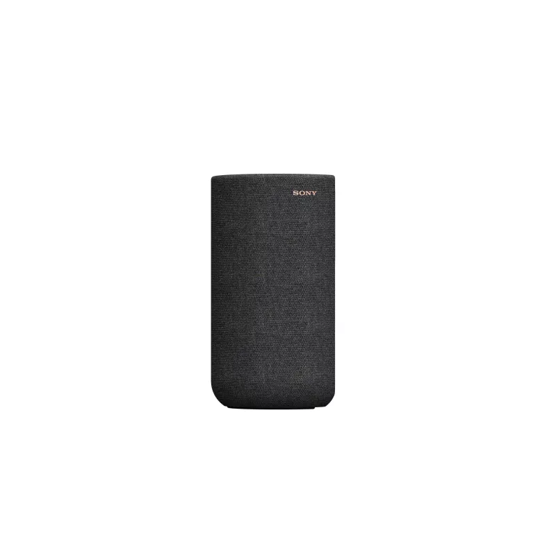 Sony SA-RS5 2 δρόμων μαύρο ενσύρματο & ασύρματο 180 W