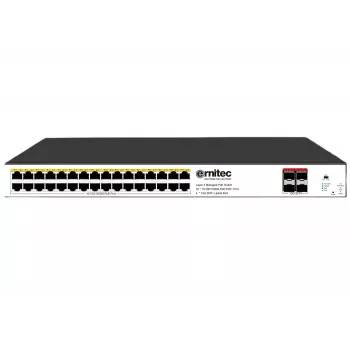 Διακόπτης δικτύου ERNITEC ELECTRA-M232-1GB-460W — θύρες 1 Gb, budget 460 W, managed switch
