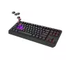 GENESIS Thor 230 TKL Πληκτρολόγιο Gaming USB + RF Wireless + Bluetooth QWERTZ μαύρο