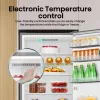 Hisense RB440N4ACA Ελεύθερο 336 L Ανοξείδωτο Ατσάλι