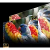 Προβολέας HISENSE C3 4K Trichroma Laser Beamer 2.500 ANSI-Lumen, Μοντέλο 20017736