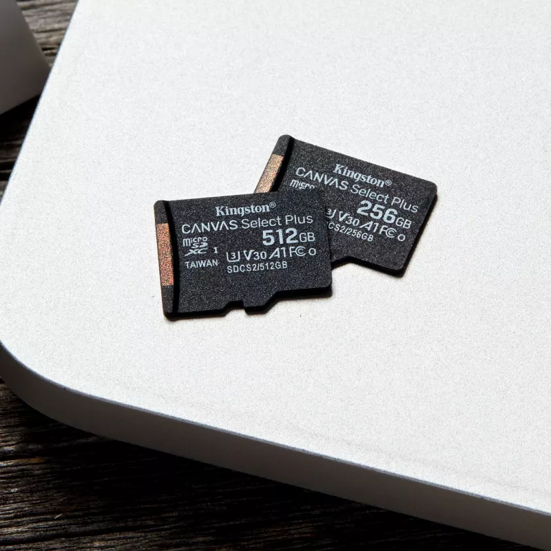 Kingston Technology Canvas Select 256GB micSDXC Plus 100R A1 C10 Κάρτα + Αντάπτορας