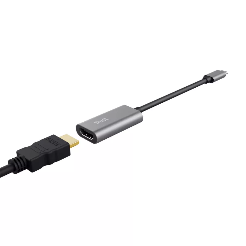 Trust Dalyx Προσαρμογέας γραφικών USB Γκρι