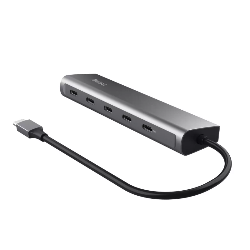 Trust Halyx USB 3.2 Gen 1 (3.1 Gen 1) Type-C ασημί