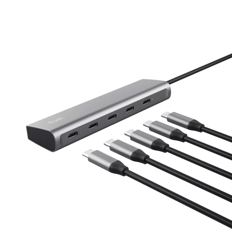 Trust Halyx USB 3.2 Gen 1 (3.1 Gen 1) Type-C ασημί