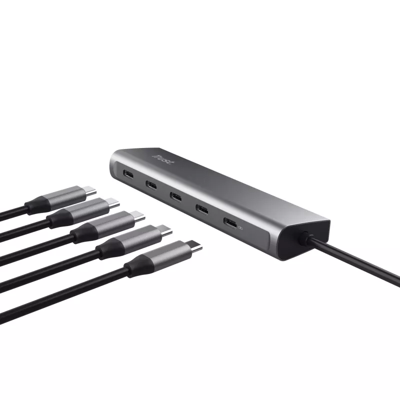 Trust Halyx USB 3.2 Gen 1 (3.1 Gen 1) Type-C ασημί