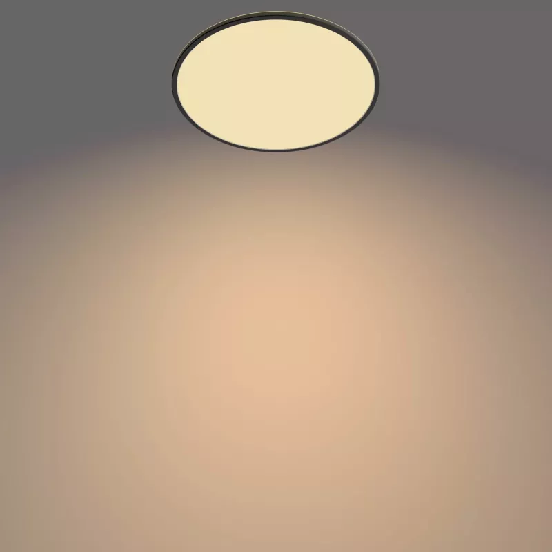 Φωτιστικό οροφής Philips Functional Super λεπτό 36 W LED μαύρο στρογγυλό