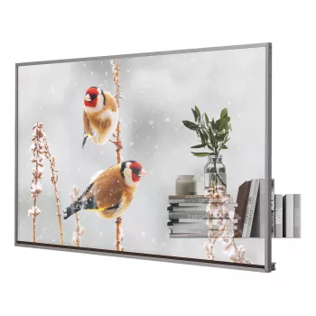 LG 55EW5P-M Signage Display 139,7 cm (55 ίντσες) OLED 600 cd/m² Full HD Ασημί Οθόνη αφής 18/7