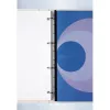 GBC Filestrip WireBind & ClickBind PVC, λευκό, πολυβινυλοχλωρίδιο (PVC), A4, 245 g, 100 τεμ., Αίγυπτος