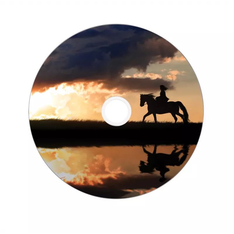 Verbatim 43667 κενό DVD 8,5 GB DVD+R DL 25 τεμ.