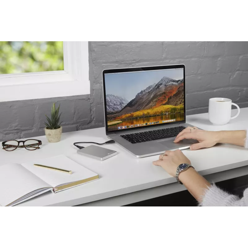 Verbatim Store 'n' Go ALU λεπτός φορητός σκληρός δίσκος 1 TB ασημί